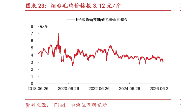 谁能回答烟台毛鸡价格报 3.12 元斤