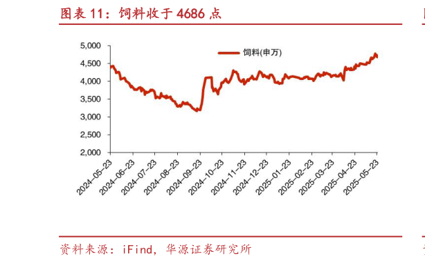 想问下各位网友饲料收于 4686 点?
