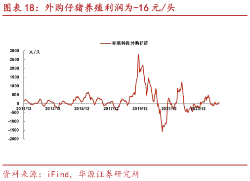 你知道外购仔猪养殖利润为-16 元头?