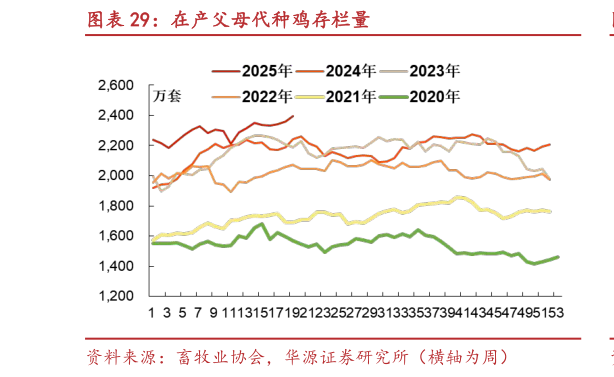 如何解释在产父母代种鸡存栏量?