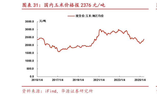 如何了解国内玉米价格报 2376 元吨