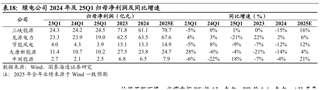 如何才能绿电公司 2024 年及 25Q1 归母净利润及同比增速