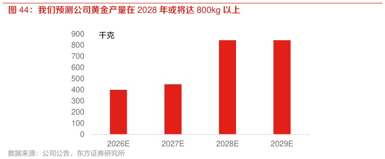 我想了解一下我们预测公司黄金产量在 2028 年或将达 800kg 以上