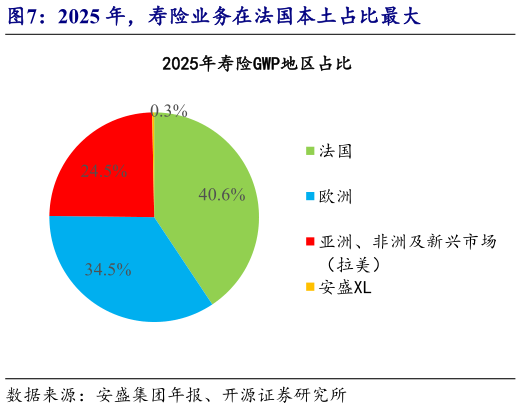 咨询下各位2025 年，寿险业务在法国本土占比最大