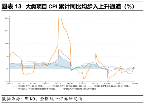 各位网友请教一下大类项目 CPI 累计同比均步入上升通道（%）