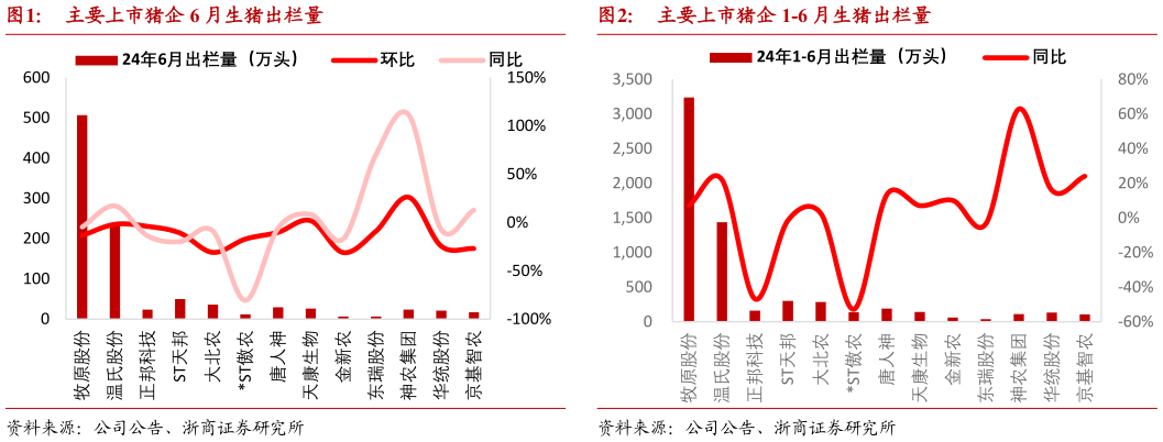 怎样理解主要上市猪企 6 月生猪出栏量主要上市猪企 1-6 月生猪出栏量?