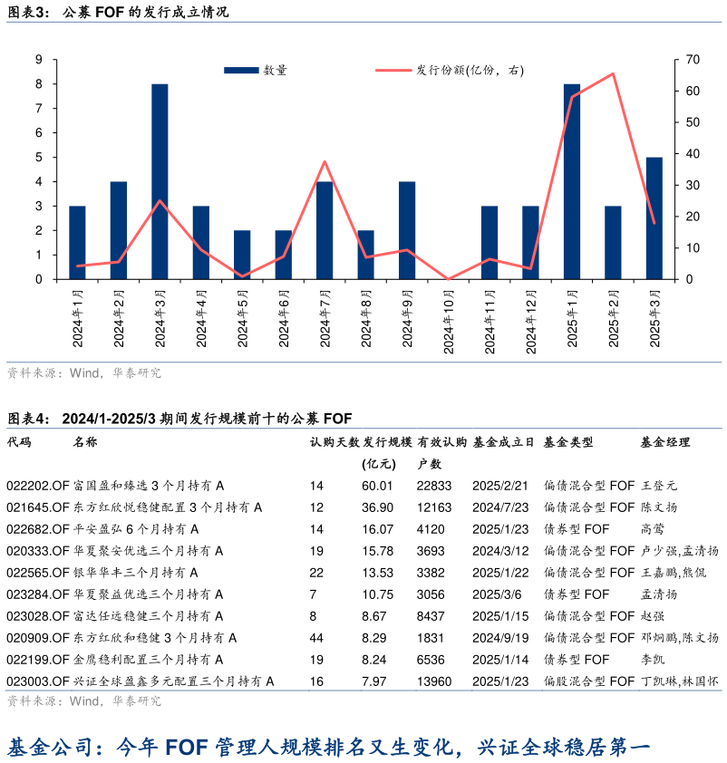 谁能回答公募 FOF 的发行成立情况 20241-20253 期间发行规模前十的公募 FOF