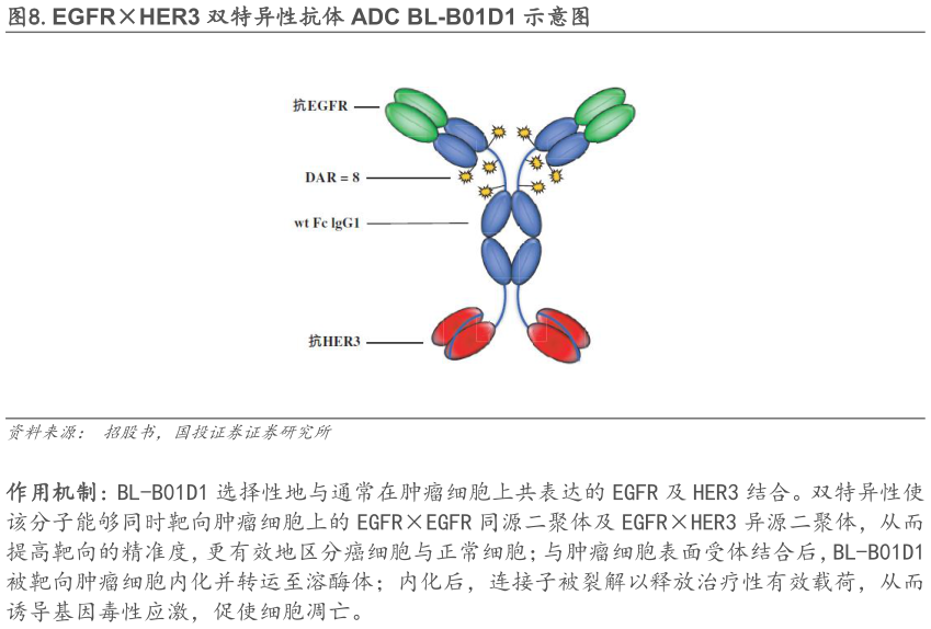 我想了解一下.EGFRHER3 双特异性抗体 ADC BL-B01D1 示意图