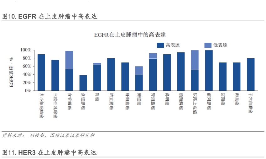 如何才能.EGFR 在上皮肿瘤中高表达