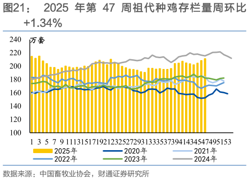咨询下各位2025 年第 47 周祖代种鸡存栏量周环比