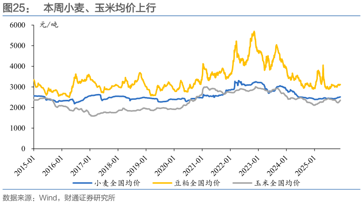 如何了解本周小麦、玉米均价上行