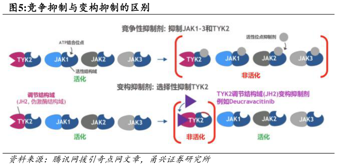 怎样理解竞争抑制与变构抑制的区别