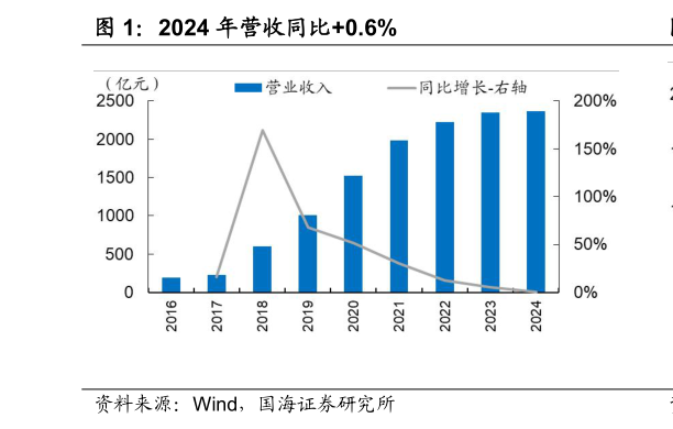 我想了解一下2024 年营收同比0.6%