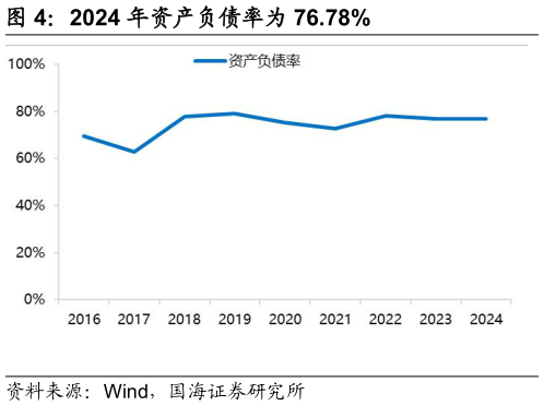 如何看待2024 年资产负债率为 76.78%