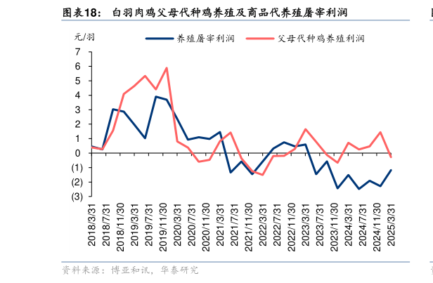 如何了解白羽肉鸡父母代种鸡养殖及商品代养殖屠宰利润?
