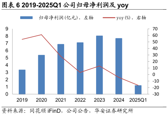 如何解释2019-2025Q1 公司归母净利润及 yoy