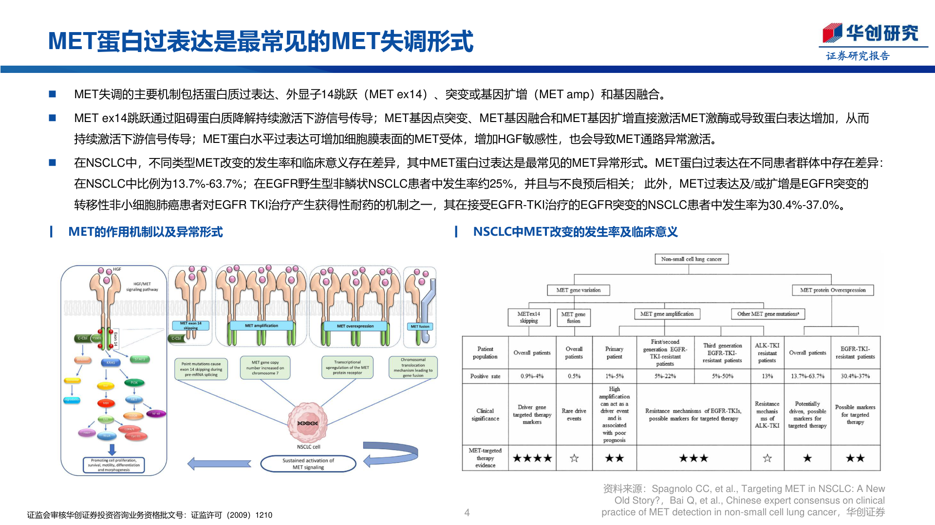 我想了解一下MET蛋白过表达是最常见的MET失调形式
