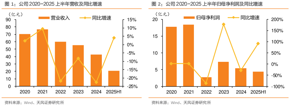 咨询下各位公司 2020-2025 上半年营收及同比增速公司 2020-2025 上半年归母净利润及同比增速