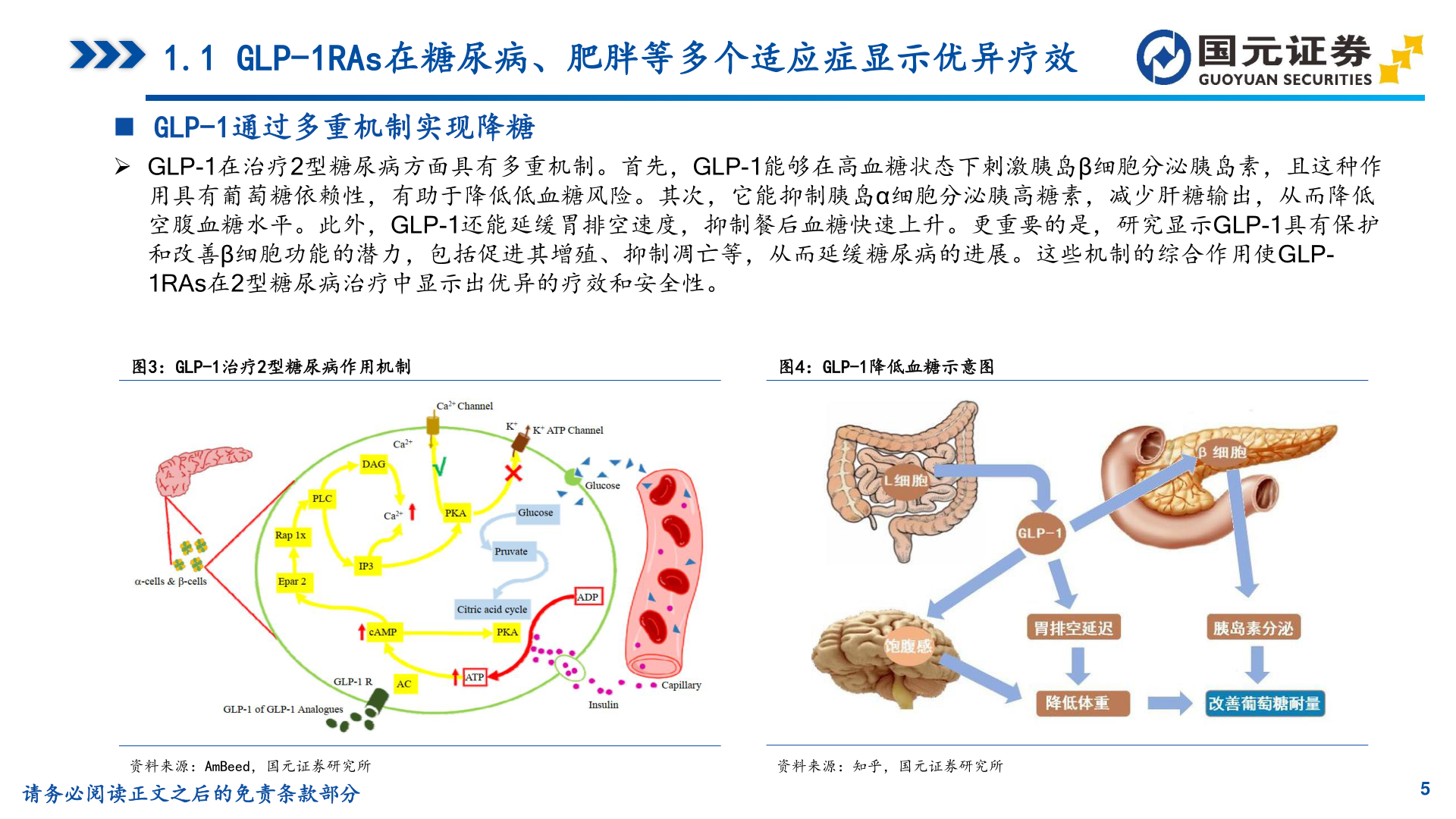 如何了解1.1 GLP-1RAs在糖尿病、肥胖等多个适应症显示优异疗效