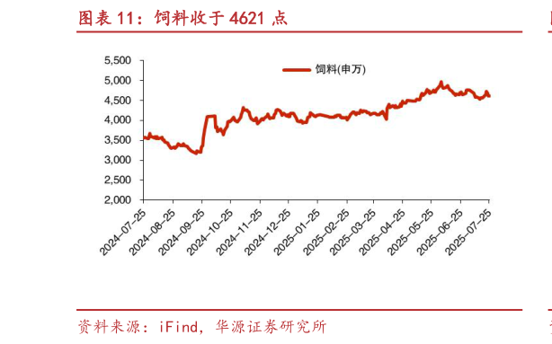 如何看待饲料收于 4621 点?
