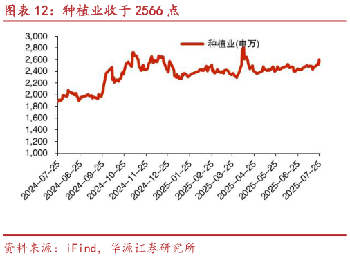 如何才能种植业收于 2566 点?