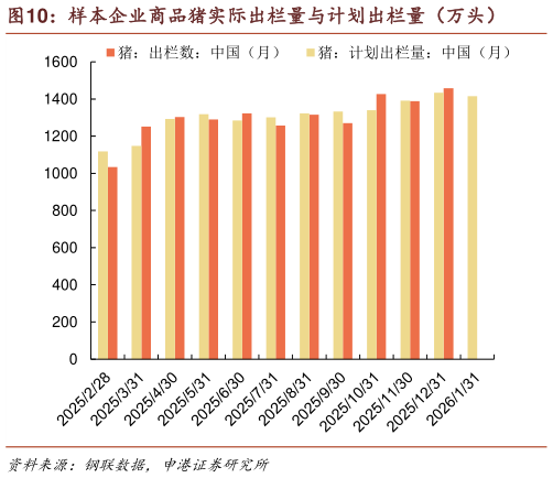 你知道样本企业商品猪实际出栏量与计划出栏量（万头）