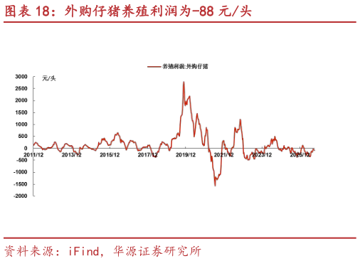 想问下各位网友外购仔猪养殖利润为-88 元头