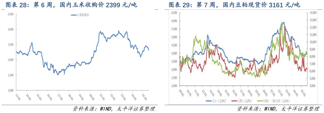 谁知道第 7 周，国内豆粕现货价 3161 元吨