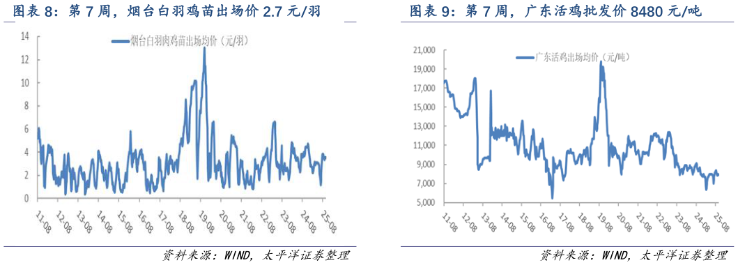 如何了解第 7 周，烟台白羽鸡苗出场价 2.7 元羽 第 7 周，广东活鸡批发价 8480 元吨
