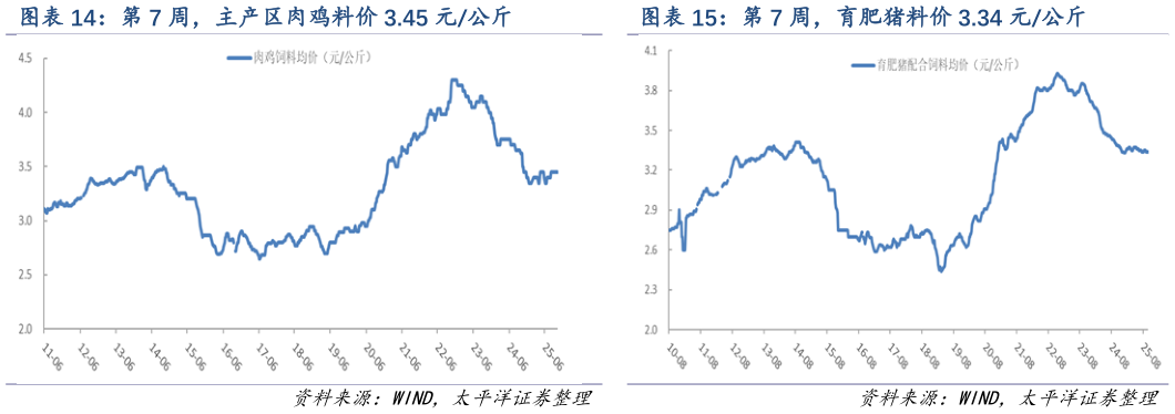 如何解释第 7 周，育肥猪料价 3.34 元公斤