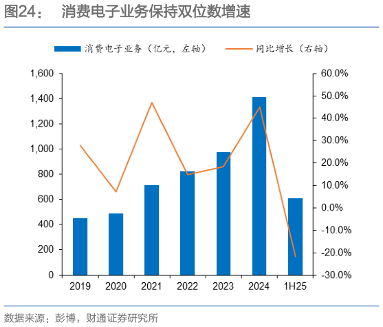 各位网友请教一下消费电子业务保持双位数增速