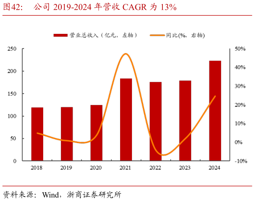 你知道公司 2019-2024 年营收 CAGR 为 13%