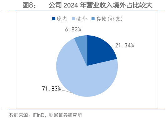 谁知道公司 2024 年营业收入境外占比较大