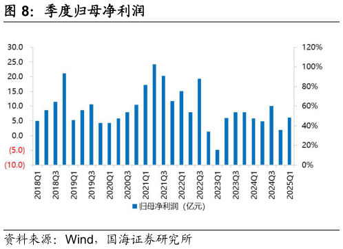 各位网友请教一下季度归母净利润