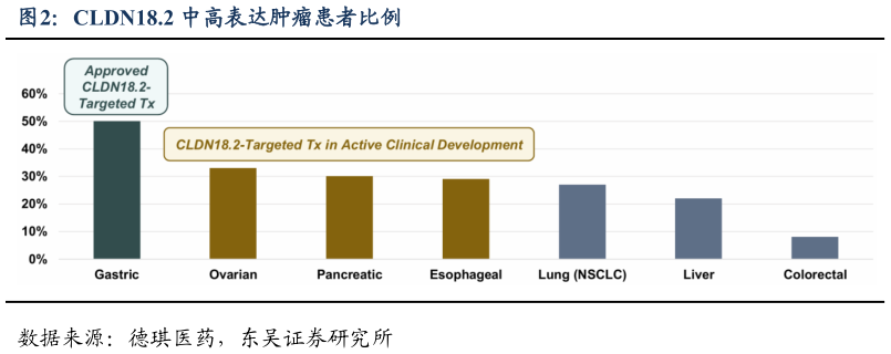 各位网友请教一下CLDN18.2 中高表达肿瘤患者比例?