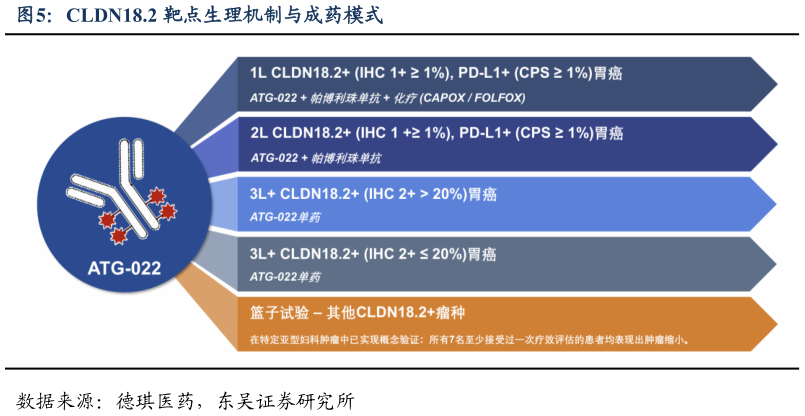 你知道CLDN18.2 靶点生理机制与成药模式?