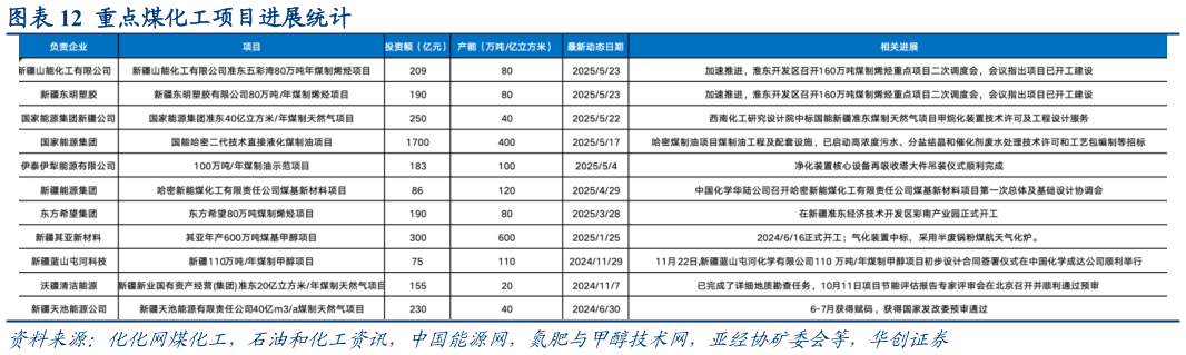 想问下各位网友重点煤化工项目进展统计?