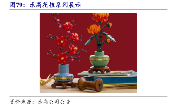 各位网友请教一下乐高花植系列展示