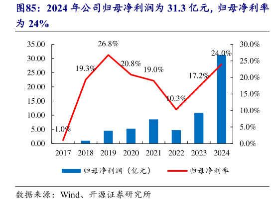 如何看待2024 年公司归母净利润为 31.3 亿元，归母净利率