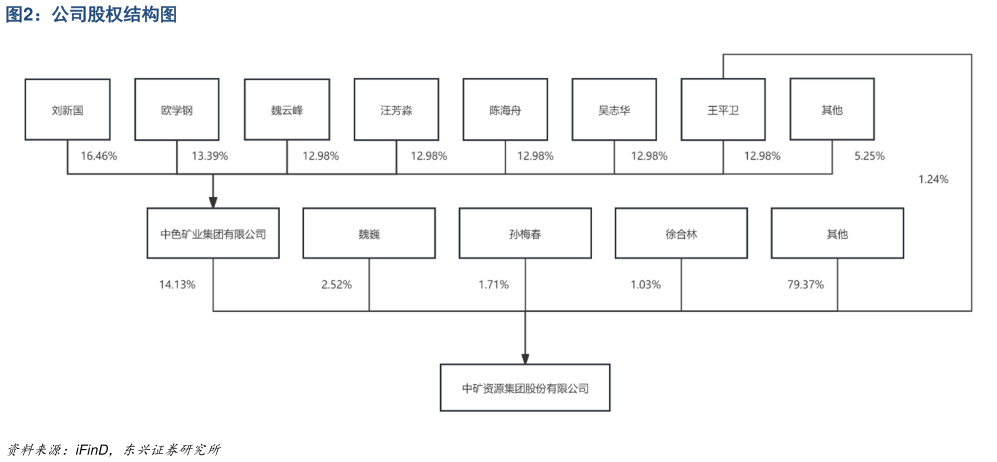 想问下各位网友公司股权结构图