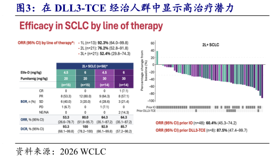 我想了解一下在 DLL3-TCE 经治人群中显示高治疗潜力