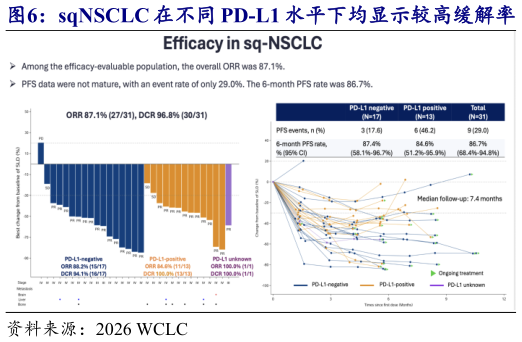 你知道sqNSCLC 在不同 PD-L1 水平下均显示较高缓解率   nsqNSCLC 在 PD-L1 阳性患者中有较强疗效