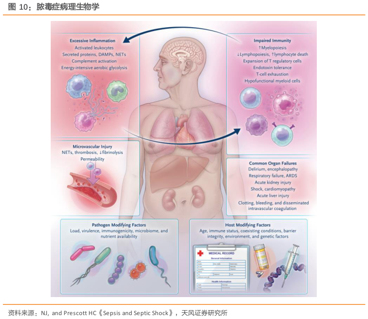 你知道脓毒症病理生物学