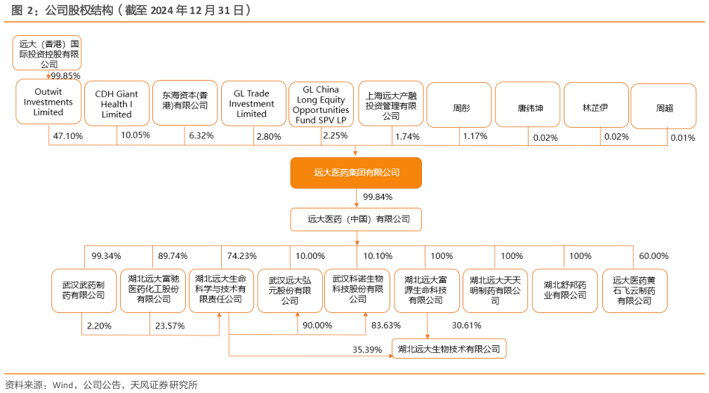 咨询大家公司股权结构（截至 2024 年 12 月 31 日）