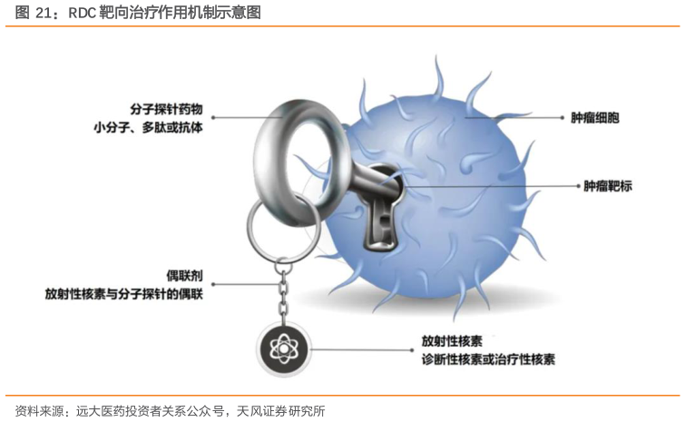 如何了解RDC 靶向治疗作用机制示意图