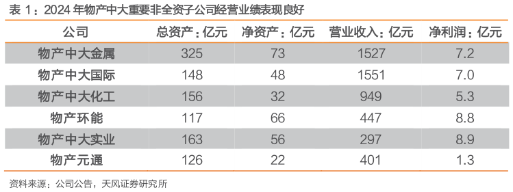 请问一下：2024 年物产中大重要非全资子公司经营业绩表现良好