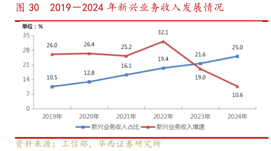 如何了解20192024 年新兴业务收入发展情况