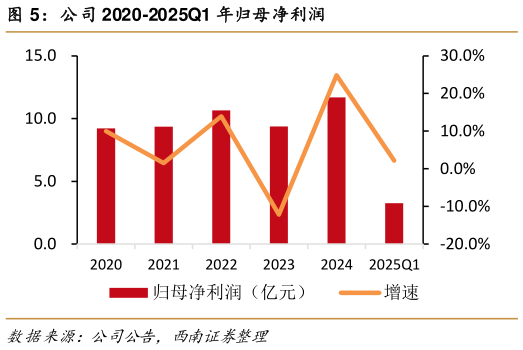 想问下各位网友公司 2020-2025Q1 年归母净利润
