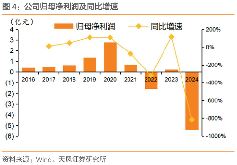 咨询大家公司归母净利润及同比增速