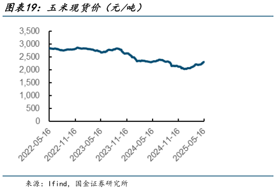 如何了解玉米现货价(元吨)?